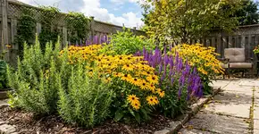 4 lindas flores para plantar em abril