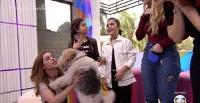 Atriz diz que a TV Globo anestesia cachorro para gravar novela