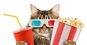 Londres terá um cinema para gatos (e seus donos)