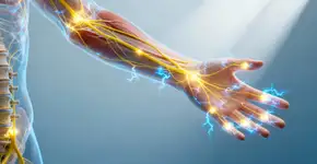 Por que sentimos cócegas em lugares onde ninguém está encostando