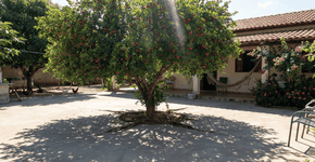 Foto: (Imagem sem texto alternativo disponivel ID [2750121])