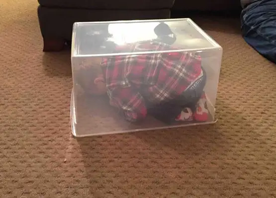 Crianças brincando de esconde-esconde