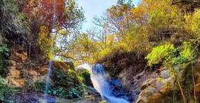 Foto: (Divulgação/SMT)