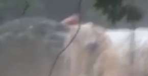 Jovem é arrastado por cabeça d’água no litoral de SP; veja