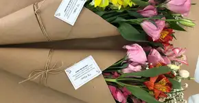 Campanhas de Dia das Mães emocionam e apoiam causas