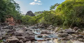 Foto: (Istock/SanCastro)