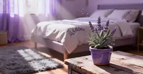 A planta que perfuma a sua casa e é muito fácil de cuidar