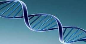 Foto: (Imagem sem texto alternativo disponivel ID [823593])