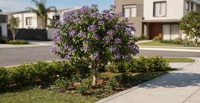 Foto: (Imagem sem texto alternativo disponivel ID [2734336])