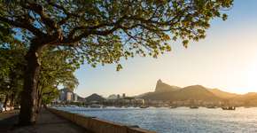 Foto: (iStock/dabldy)