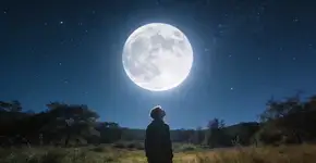 Foto: (Imagem sem texto alternativo disponivel ID [2697502])