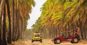 Foto: (Vinicius Lubambo/Divulgação)