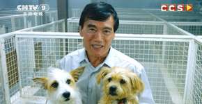 Campanha de ONG causa polêmica ao falar de carne de cachorro