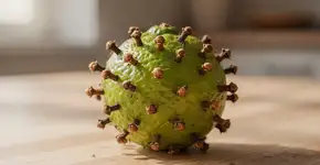 Foto: (Imagem sem texto alternativo disponivel ID [2711662])