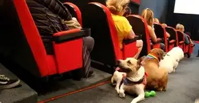 DIY: aprenda a fazer um Strappy Bra em menos de 2 minutos