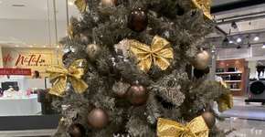 Foto: (Foto: Divulgação.)