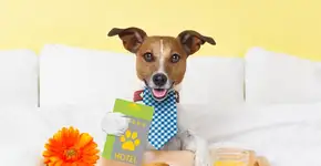 Foto: (Getty Images/iStockphoto)