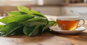 Foto: (Imagem sem texto alternativo disponivel ID [2690058])