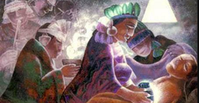 Foto: (@bosquewalden/ Facebook)