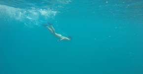 Fernando de Noronha para crianças