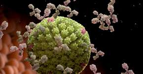 Foto: (iLexx/istock)