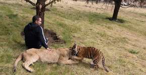 Foto: (Imagem sem texto alternativo disponivel ID [784076])