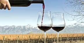 Dia da Malbec: 8 harmonizações que vão te deixar com água na boca