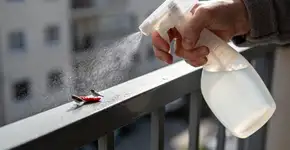 Foto: (Imagem sem texto alternativo disponivel ID [2681505])