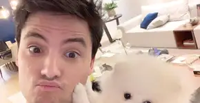 Felipe Neto ganha na Justiça contra deputado aliado de Bolsonaro