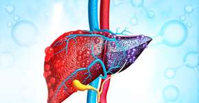 A melhor fruta para combater a gordura no fígado; veja os benefícios