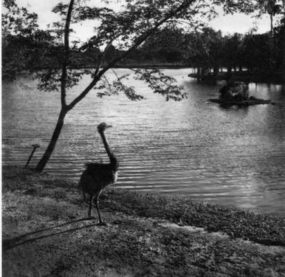 foto: Alexandre Berzin / Arquivo MCR