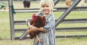 Encontro Vegano reúne artesanato, oficinas e muito mais