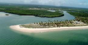 Foto: (Imagem sem texto alternativo disponivel ID [1501514])