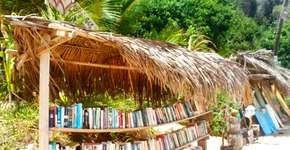 Foto: (Imagem sem texto alternativo disponivel ID [880068])