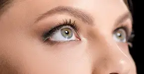 Foto: (IgorVetushko/DepositPhotos)