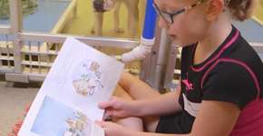 Crianças contam histórias para cachorros vítimas de maus-tratos em abrigo