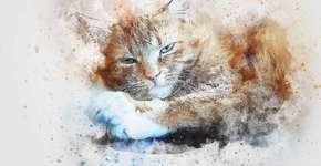 Foto: (Imagem sem texto alternativo disponivel ID [1845123])