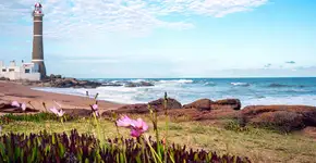 Foto: (xeni4ka/iStock)