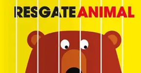 Em livro, crianças se transformam em super-heróis dos animais