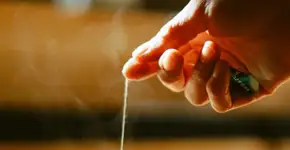 Chá de salsa é um aliado contra infecções urinárias