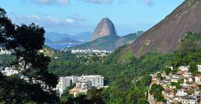 Foto: (Imagem sem texto alternativo disponivel ID [539440])