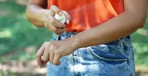 Foto: (Zigres/istock)