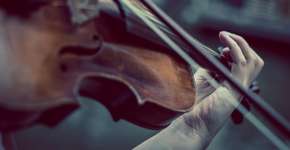 Foto: (Imagem de Niek Verlaan por Pixabay)