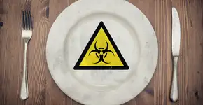 Por que estes alimentos aceleram o envelhecimento biológico? 