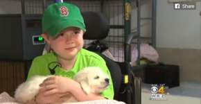 Foto: (Imagem sem texto alternativo disponivel ID [1619011])