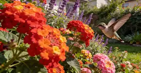 Foto: (Imagem sem texto alternativo disponivel ID [2693241])