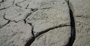 Calcule o quanto você gasta de água em tarefas diárias