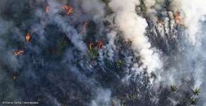 Foto: (Daniel Beltra / Greenpeace)