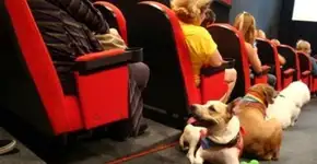 Foto: (Imagem sem texto alternativo disponivel ID [1088958])