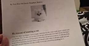 Foto: (Imagem sem texto alternativo disponivel ID [1838147])